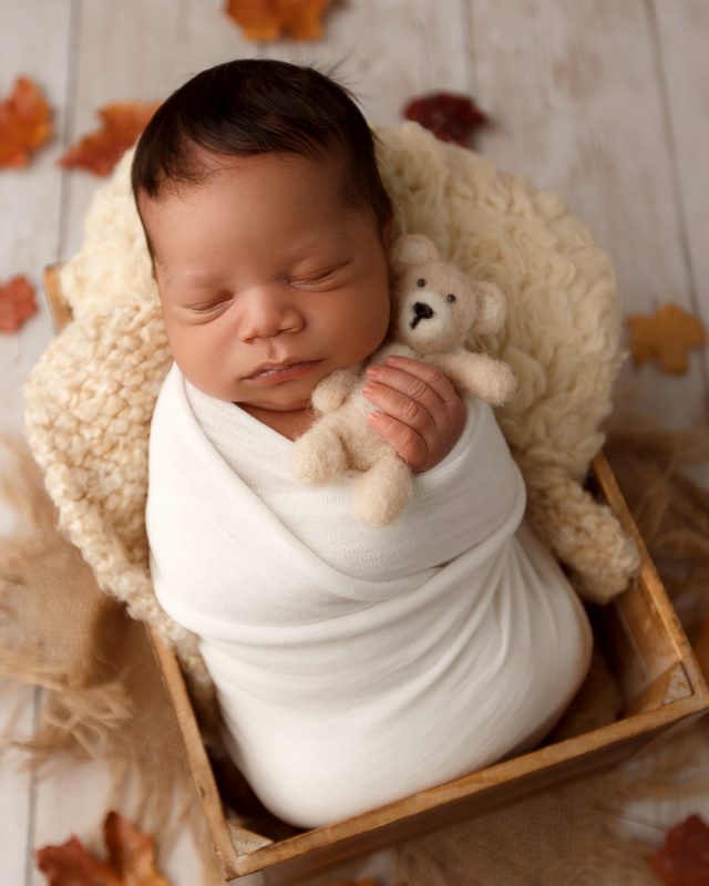 baby photographers nh,newborn photographers nashua nh,best newborn photographers nh